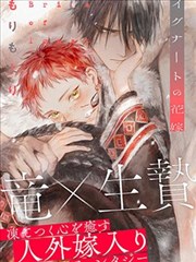 恶魔高校漫画角色图鉴册的封面示意